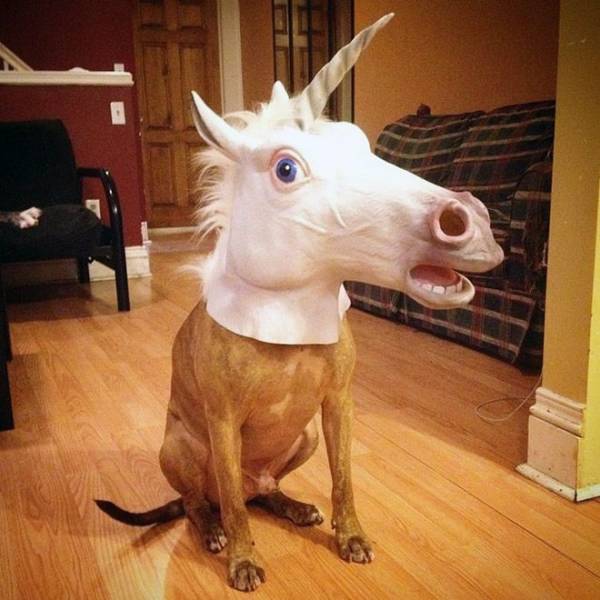 daily picdump 95 pics 11.html - 95 HD Photos | Premium Gallery 2018