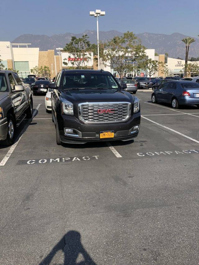 daily picdump 95 pics 11.html - 95 HD Photos | Premium Gallery 2018