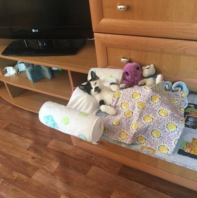 daily picdump 95 pics 11.html - 95 HD Photos | Premium Gallery 2018