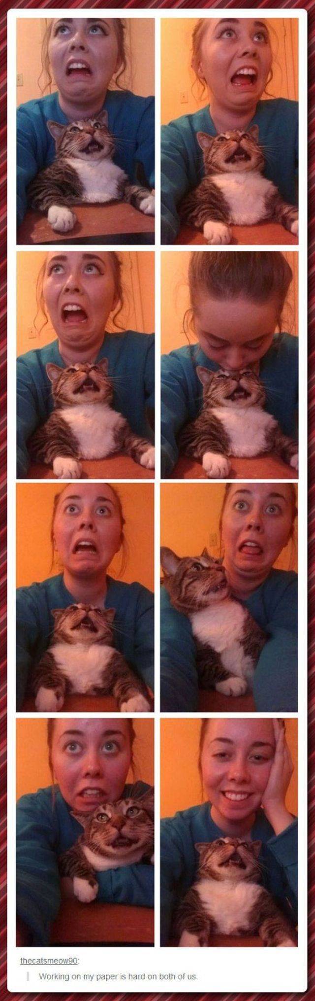 daily picdump 95 pics 11.html - 95 HD Photos | Premium Gallery 2018