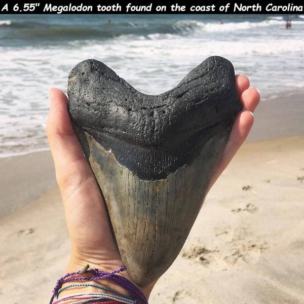 daily picdump 96 pics 48.html - 96 HD Photos | Premium Gallery 2018