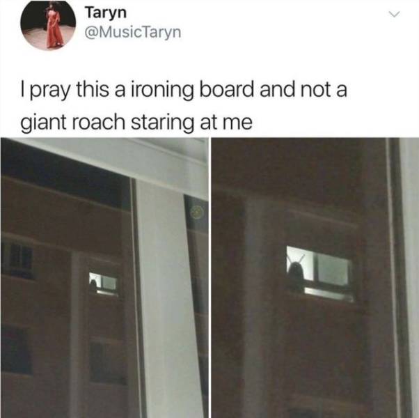 daily picdump 96 pics 48.html - 96 HD Photos | Premium Gallery 2018