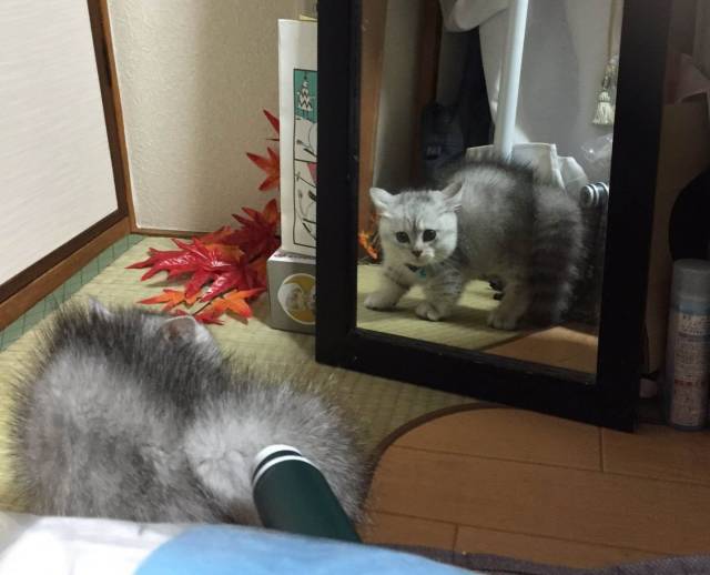 daily picdump 96 pics 48.html - 96 HD Photos | Premium Gallery 2018