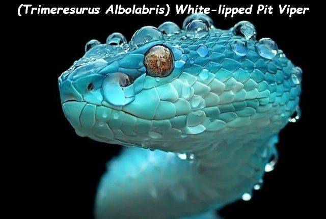 daily picdump 96 pics 48.html - 96 HD Photos | Premium Gallery 2018