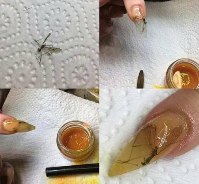 daily picdump 96 pics 48.html - 96 HD Photos | Premium Gallery 2018