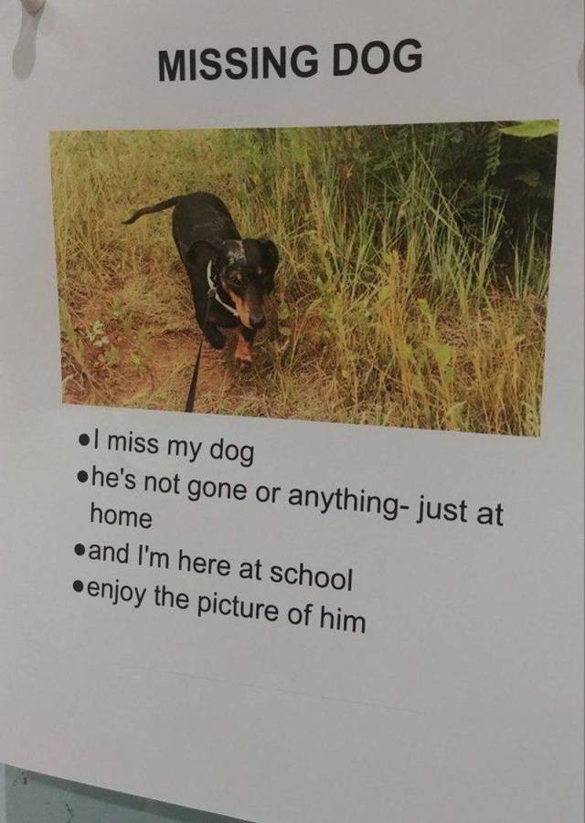 daily picdump 96 pics 48.html - 96 HD Photos | Premium Gallery 2018