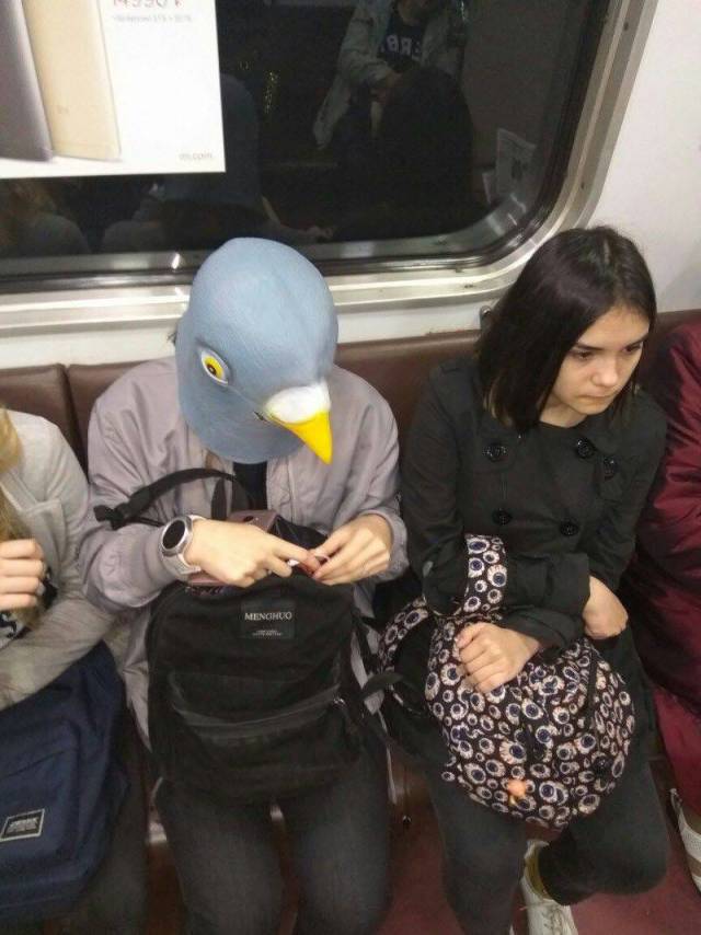 daily picdump 96 pics 48.html - 96 HD Photos | Premium Gallery 2018