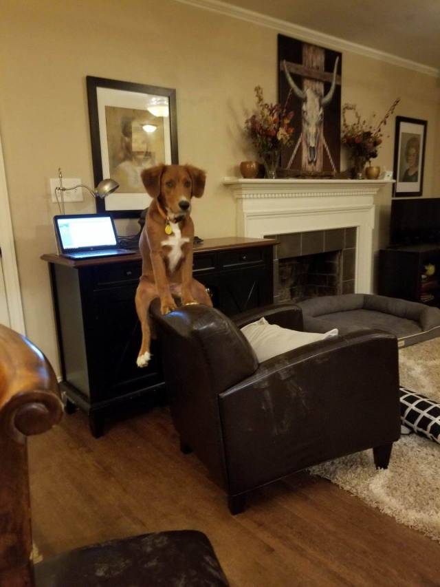 daily picdump 96 pics 48.html - 96 HD Photos | Premium Gallery 2018