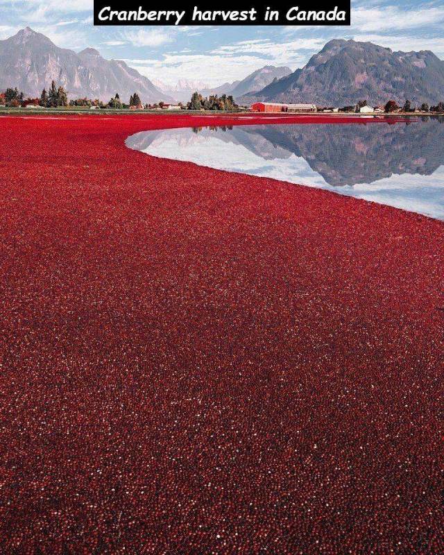 daily picdump 96 pics 48.html - 96 HD Photos | Premium Gallery 2018