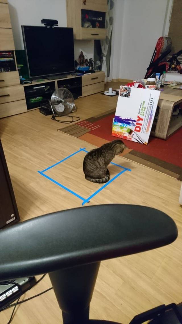 daily picdump 97 pics 23.html - 97 HD Photos | Premium Gallery 2018