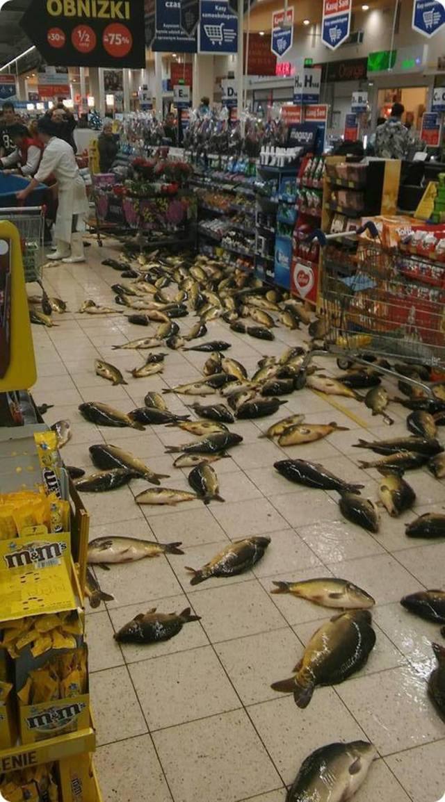 Hard-to-explain WTF Photos