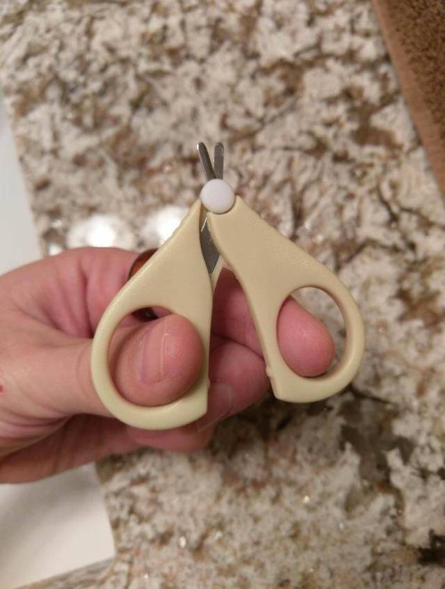 Hard-to-explain WTF Photos