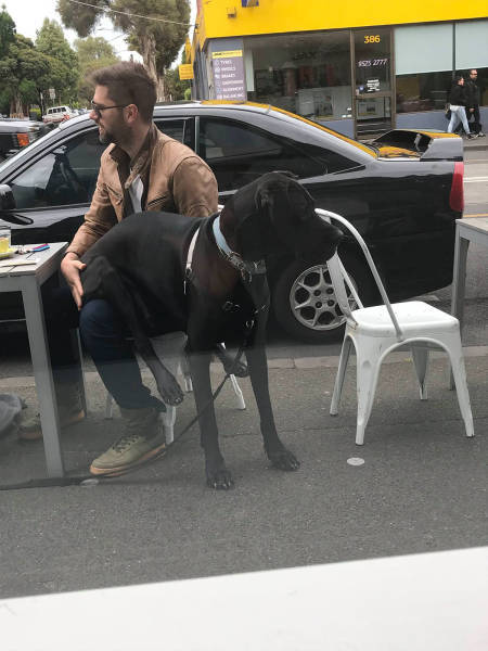 morning picdump 50 pics 10.html - 50 HD Photos | Premium Gallery 2018