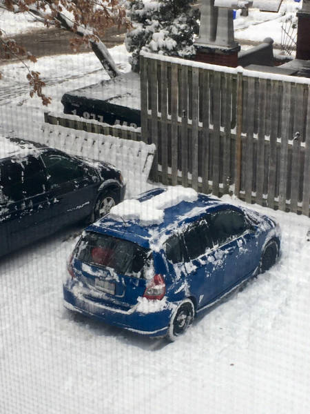 Daily Picdump [WEEKEND EDITION]