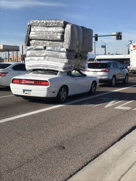 daily picdump weekend edition 50 pics 21.html - 50 HD Photos | Premium Gallery 2018