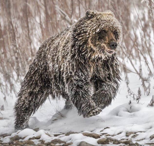 daily picdump weekend edition 50 pics 21.html - 50 HD Photos | Premium Gallery 2018