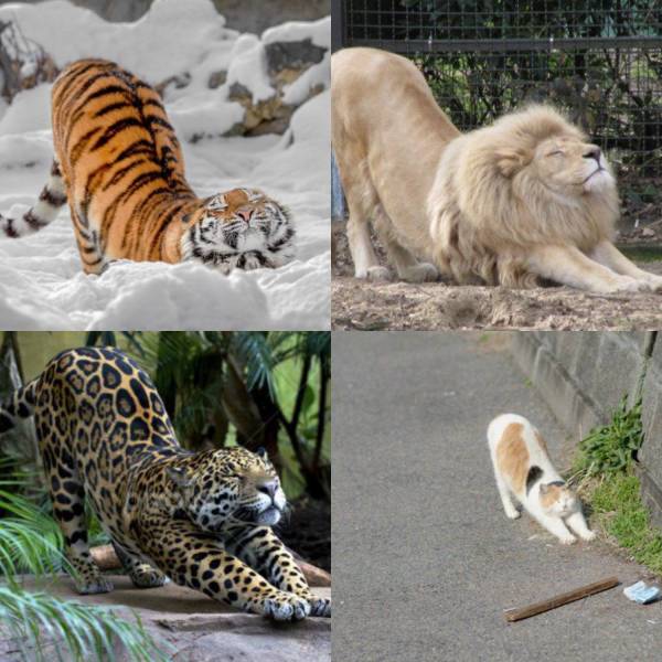daily picdump 96 pics 19.html - 96 HD Photos | Premium Gallery 2018