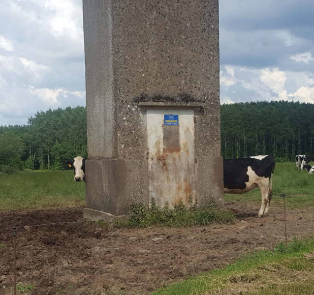 morning picdump 51 pics 12.html - 51 HD Photos | Premium Gallery 2018