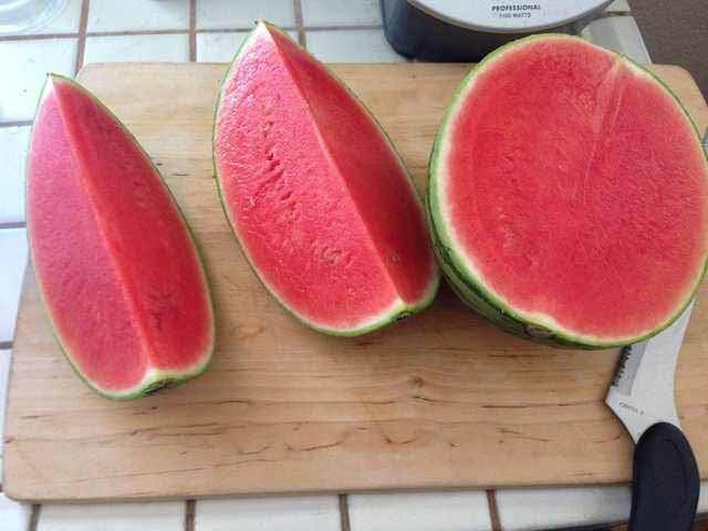 daily picdump 93 pics 30.html - 93 HD Photos | Premium Gallery 2018