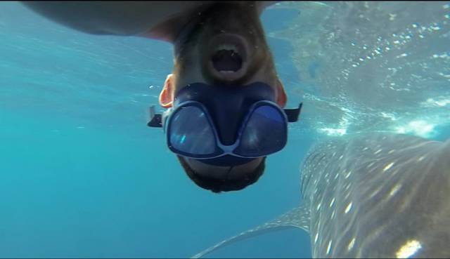 daily picdump 96 pics 26.html - 96 HD Photos | Premium Gallery 2018