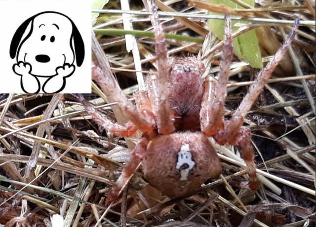 daily picdump 96 pics 26.html - 96 HD Photos | Premium Gallery 2018