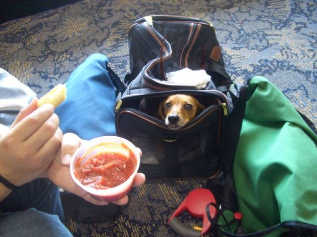 daily picdump 96 pics 26.html - 96 HD Photos | Premium Gallery 2018