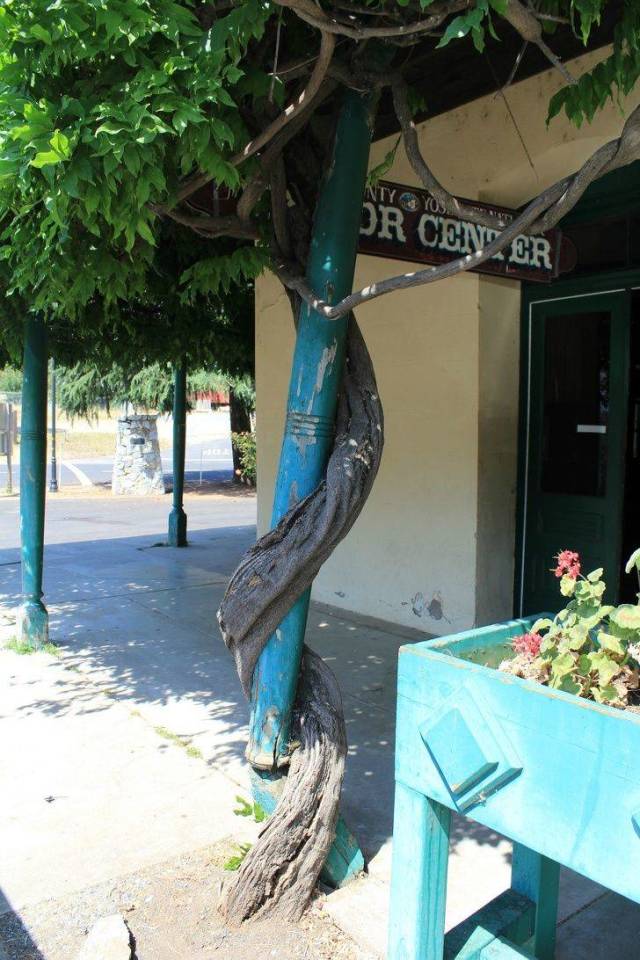 daily picdump 96 pics 26.html - 96 HD Photos | Premium Gallery 2018