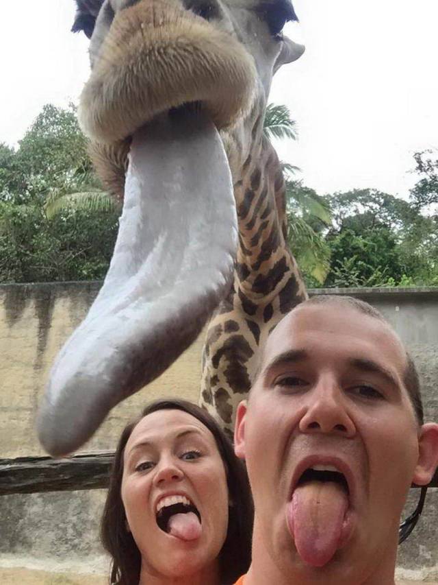 daily picdump 96 pics 26.html - 96 HD Photos | Premium Gallery 2018