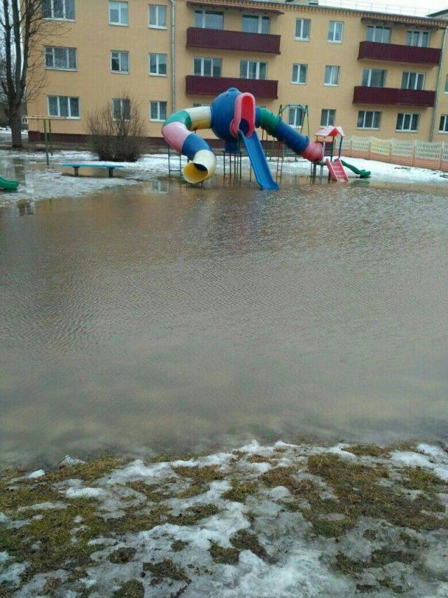 daily picdump 96 pics 26.html - 96 HD Photos | Premium Gallery 2018