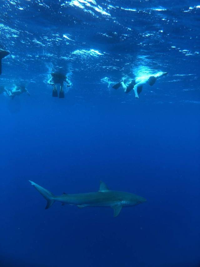 daily picdump 96 pics 26.html - 96 HD Photos | Premium Gallery 2018