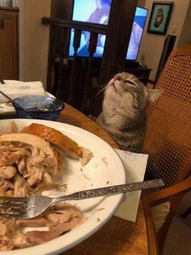 daily picdump 96 pics 26.html - 96 HD Photos | Premium Gallery 2018