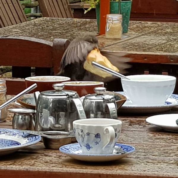 morning picdump 50 pics 10.html - 50 HD Photos | Premium Gallery 2018