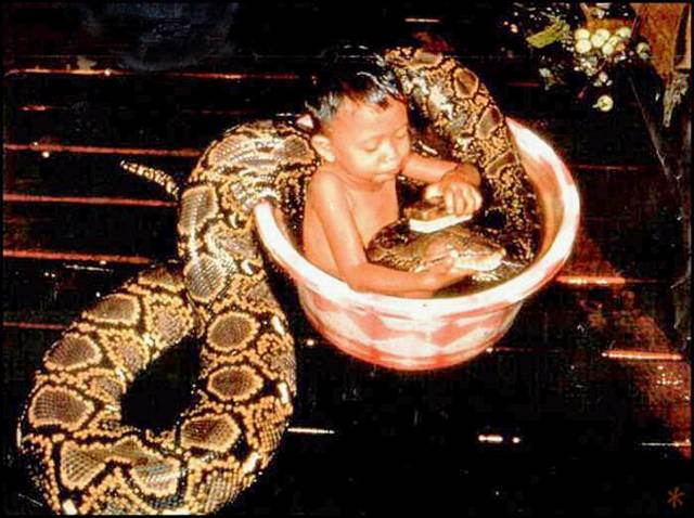 morning picdump 50 pics 10.html - 50 HD Photos | Premium Gallery 2018