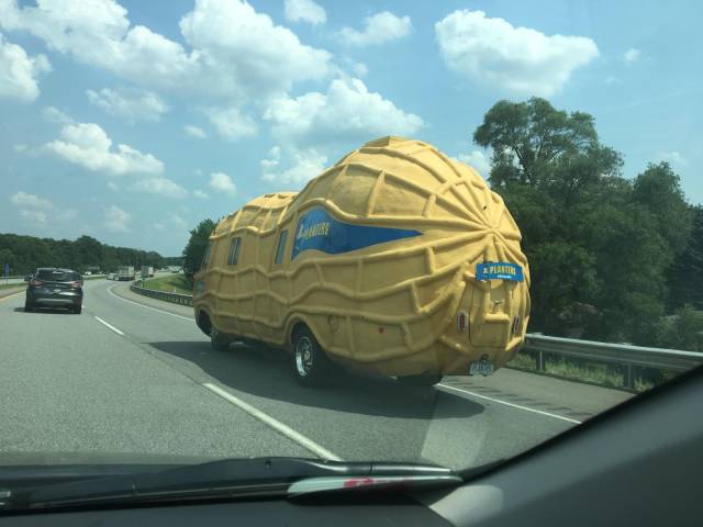 daily picdump 98 pics 17.html - 98 HD Photos | Premium Gallery 2018