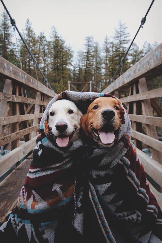 daily picdump 98 pics 17.html - 98 HD Photos | Premium Gallery 2018