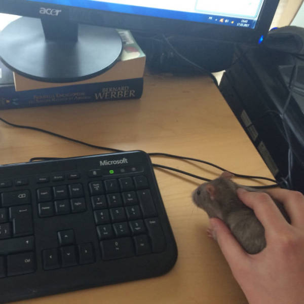 funny picdump 51 pics 6.html - 51 HD Photos | Premium Gallery 2018