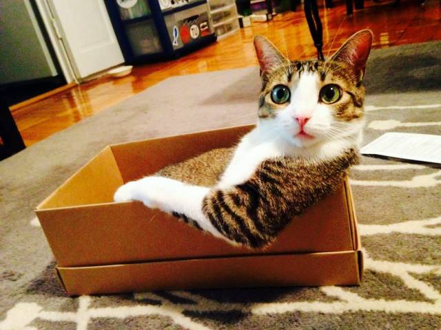 Daily Picdump