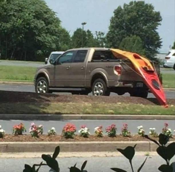 daily picdump 99 pics 12.html - 99 HD Photos | Premium Gallery 2018