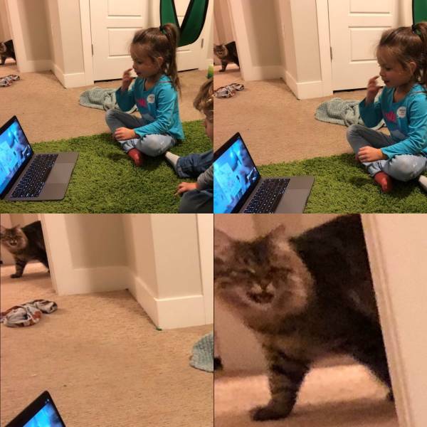 daily picdump 99 pics 12.html - 99 HD Photos | Premium Gallery 2018