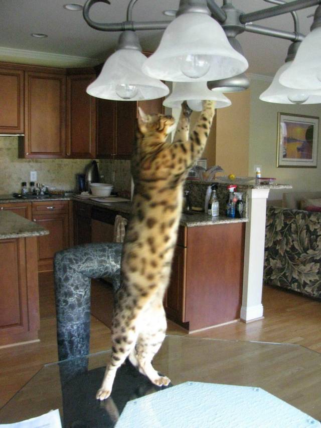 Daily Picdump