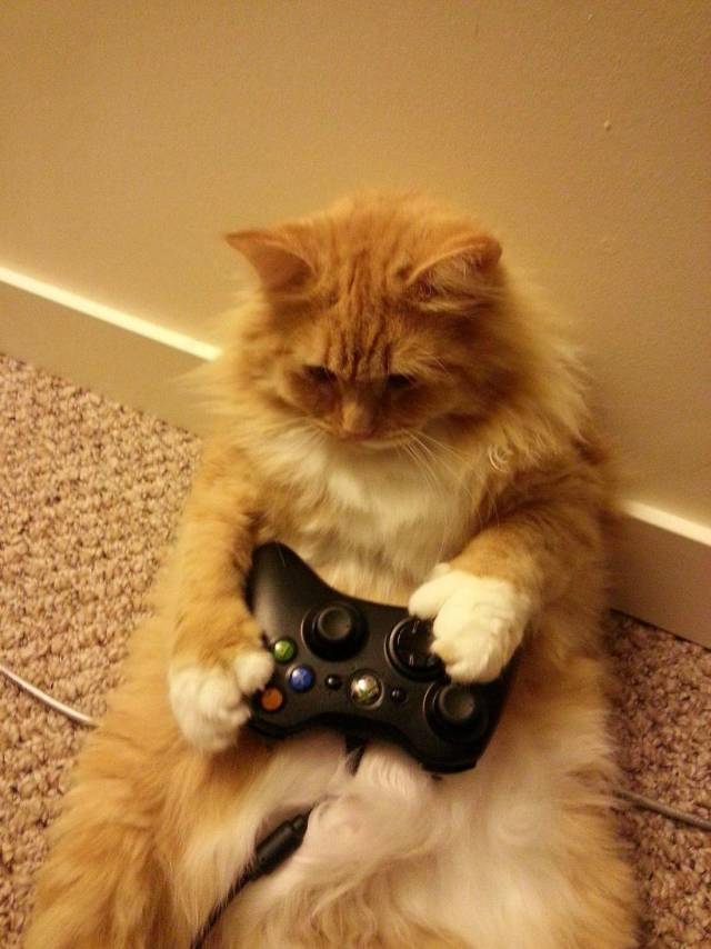 Daily Picdump