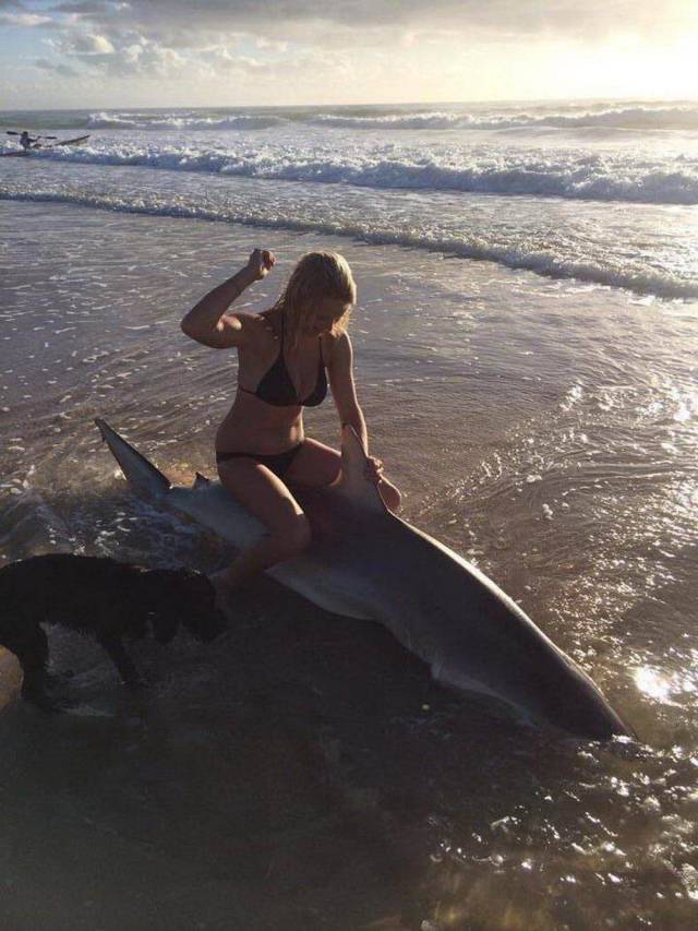 daily picdump 99 pics 12.html - 99 HD Photos | Premium Gallery 2018