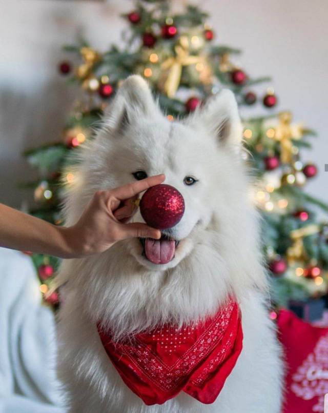 daily picdump 99 pics 12.html - 99 HD Photos | Premium Gallery 2018