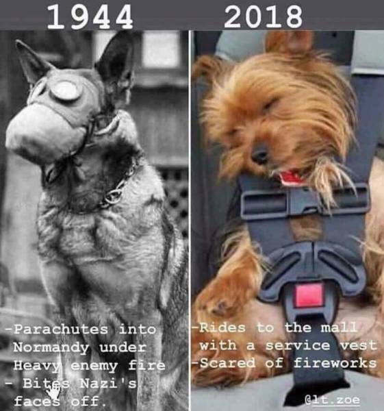 Funny Picdump