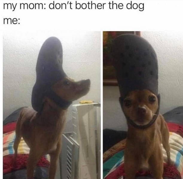 Funny Picdump