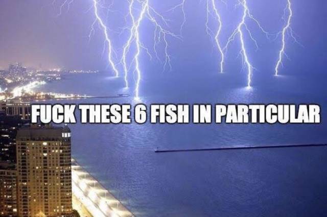 Funny Picdump
