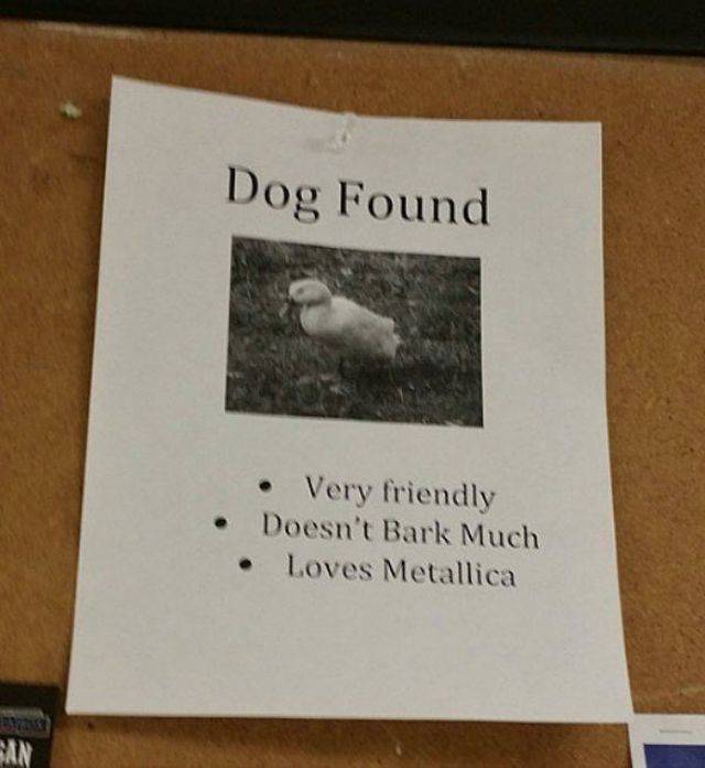 Daily Picdump [WEEKEND EDITION]