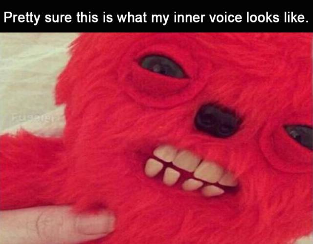 funny picdump 54 pics 14.html - 54 HD Photos | Premium Gallery 2018