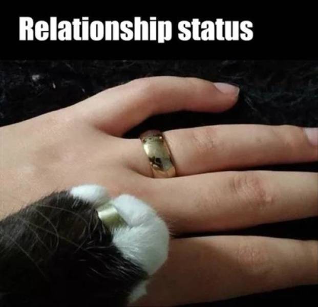 funny picdump 54 pics 14.html - 54 HD Photos | Premium Gallery 2018