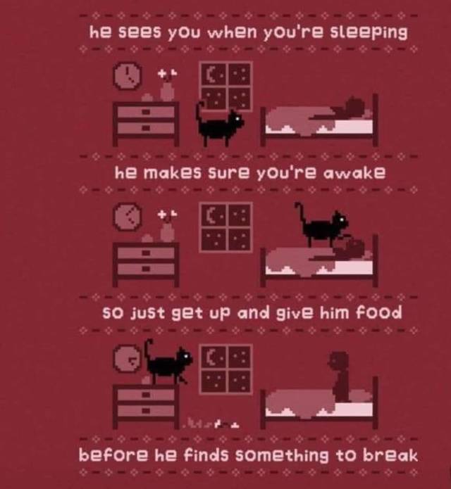 funny picdump 54 pics 14.html - 54 HD Photos | Premium Gallery 2018